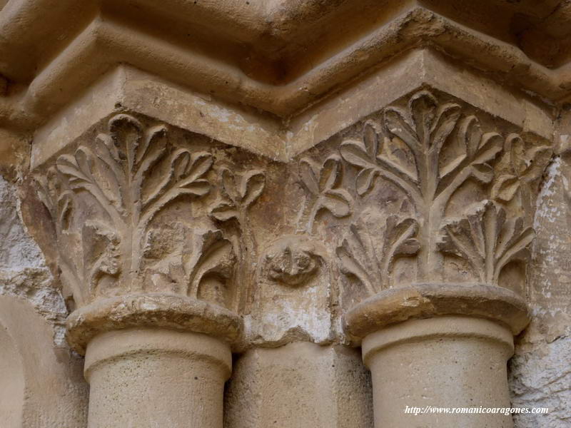 DETALLE DE LOS CAPITELES CON DECORACIÓN VEGETAL